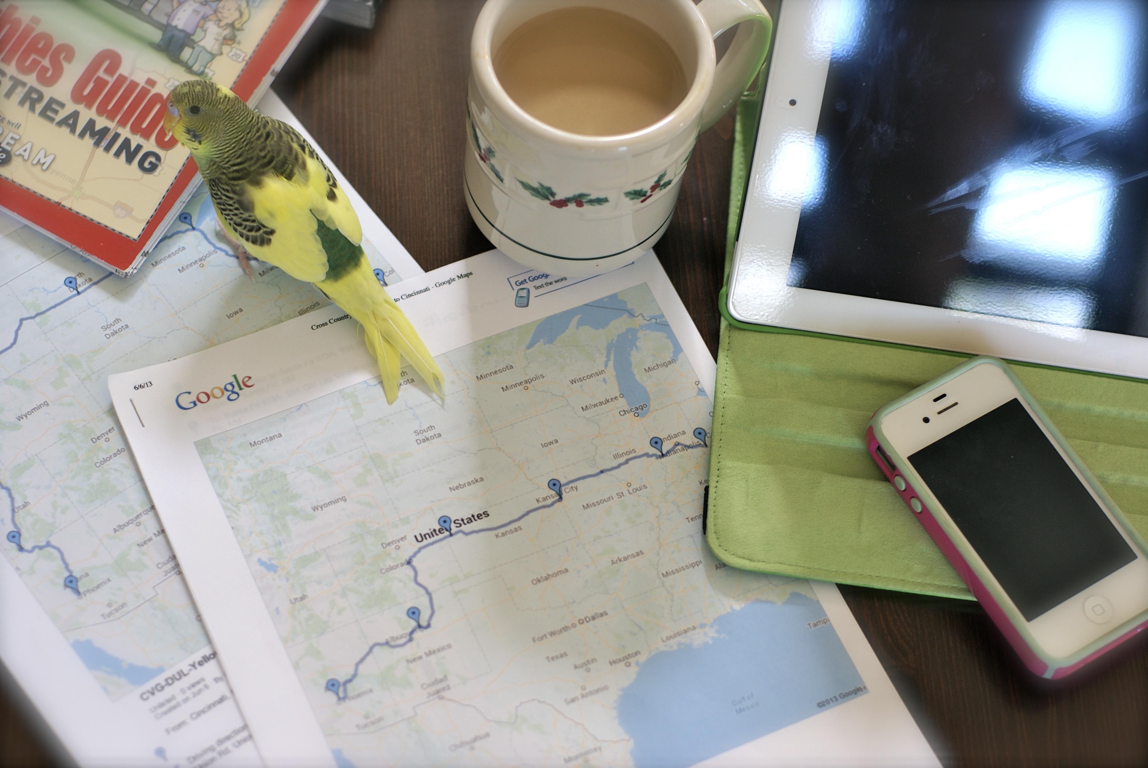 Planning a Trip & Executive Functioning