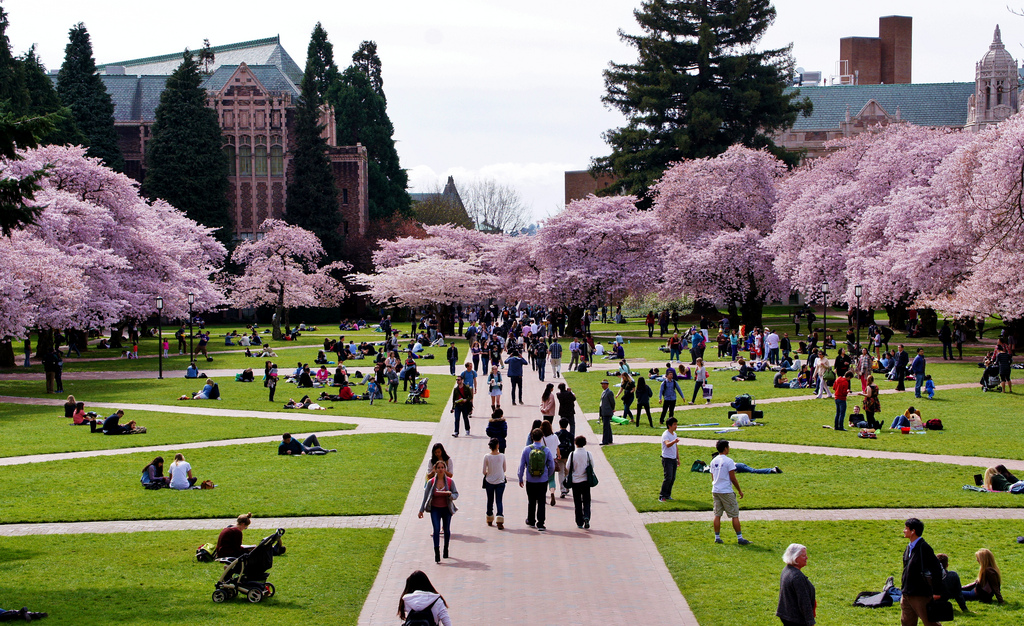 phd programs at university of washington