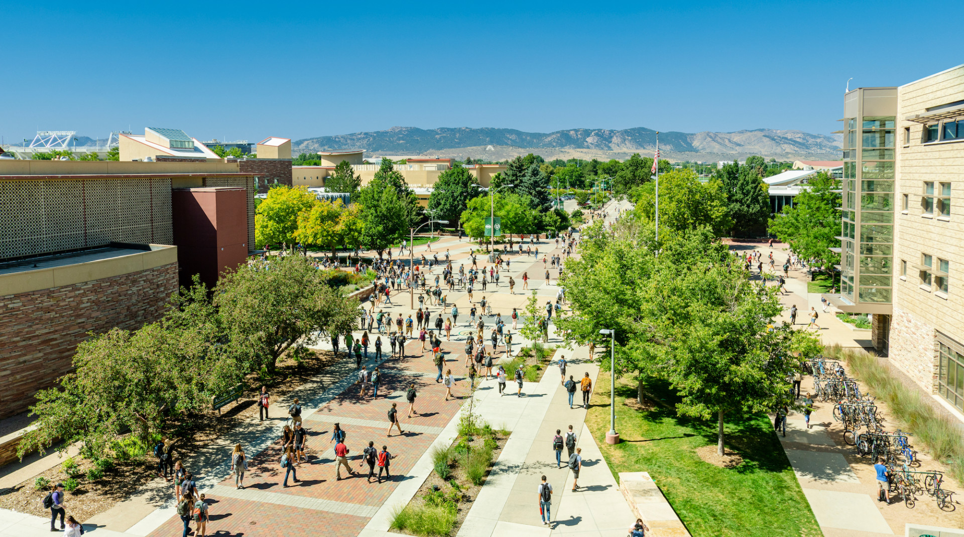 4 Reasons to Take a look at Colorado State University