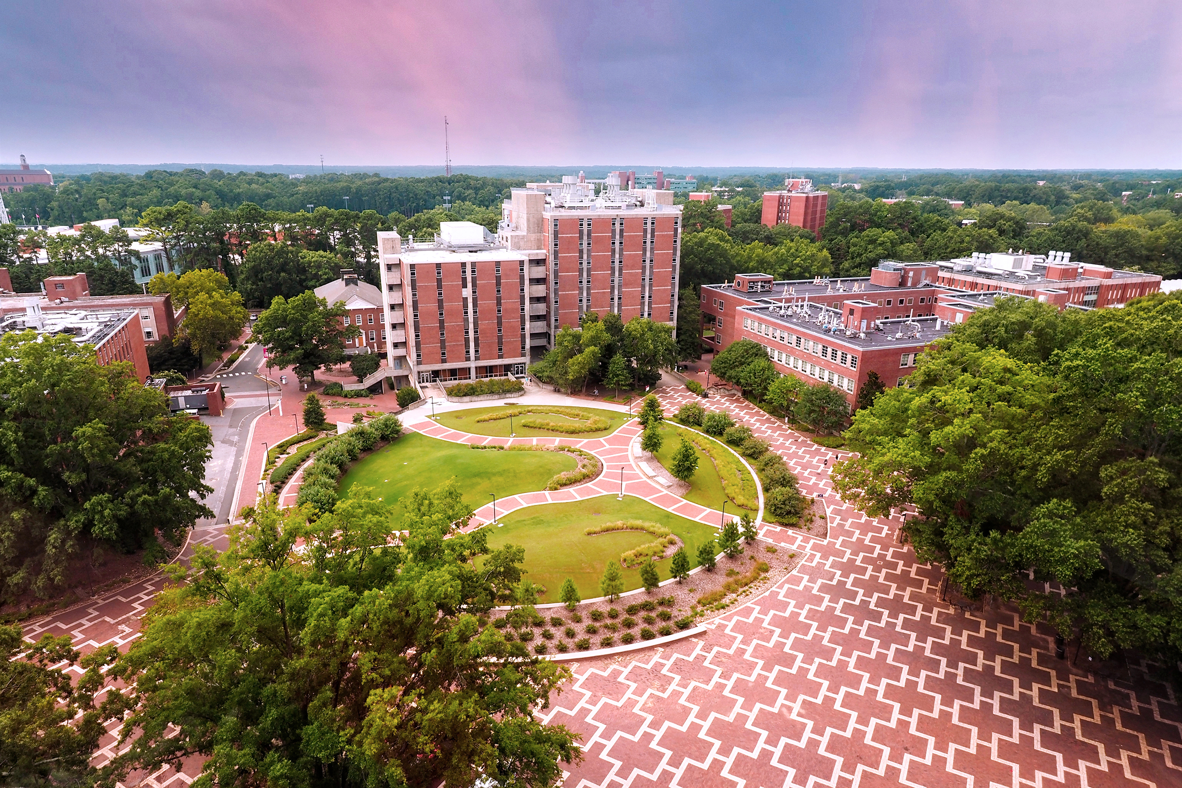 What Stands Out at NC State?