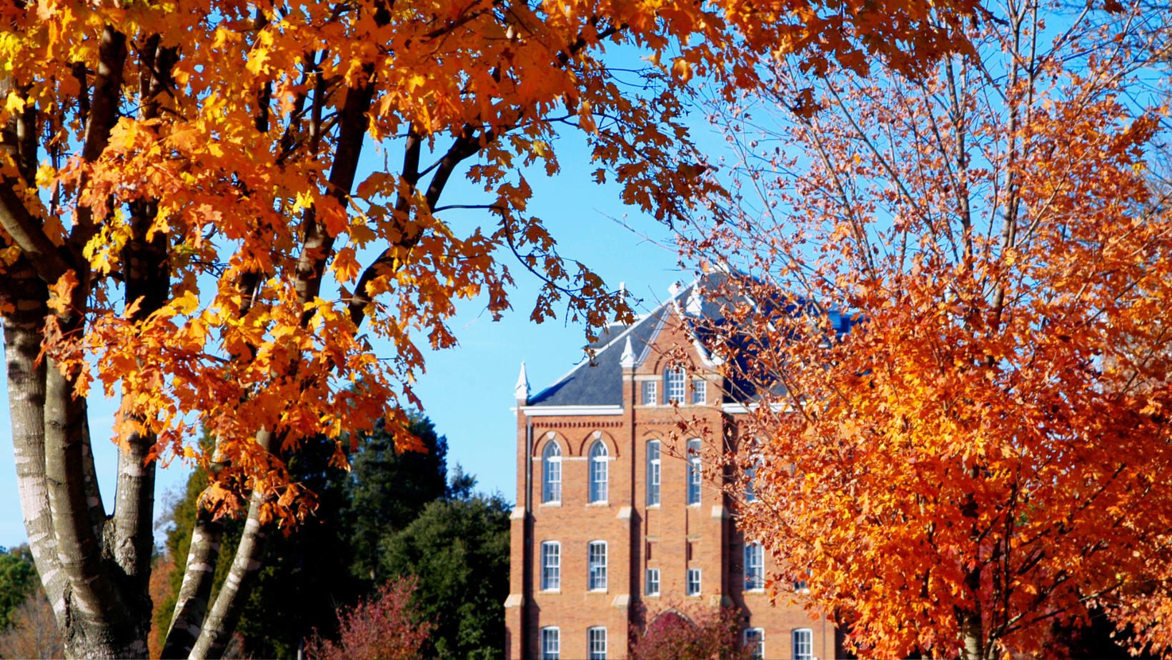 How Students Should Approach College Visits